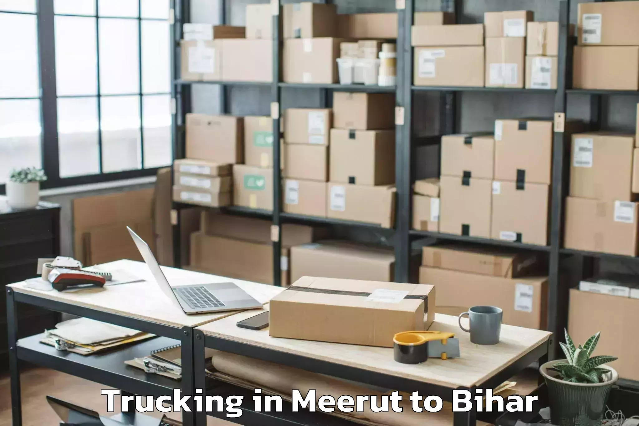 Meerut to Mehsi Trucking Booking